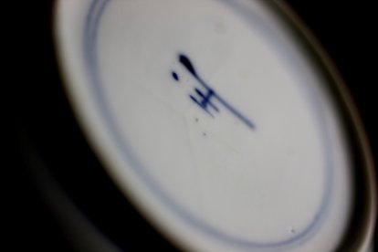 201082 Y shaped hairline