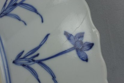 2010198 "V-shaped" hairline