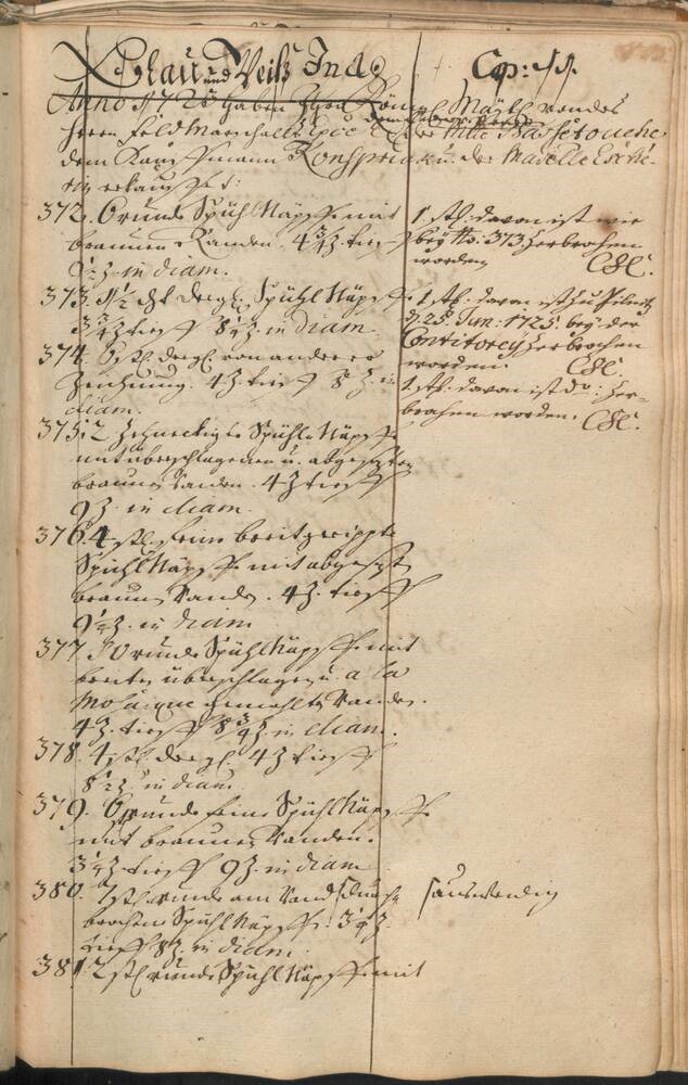 Dresden inv 376